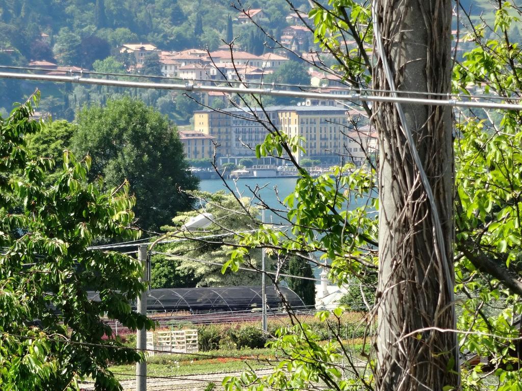 Villa Luisa'S House Bellagio Zimmer foto